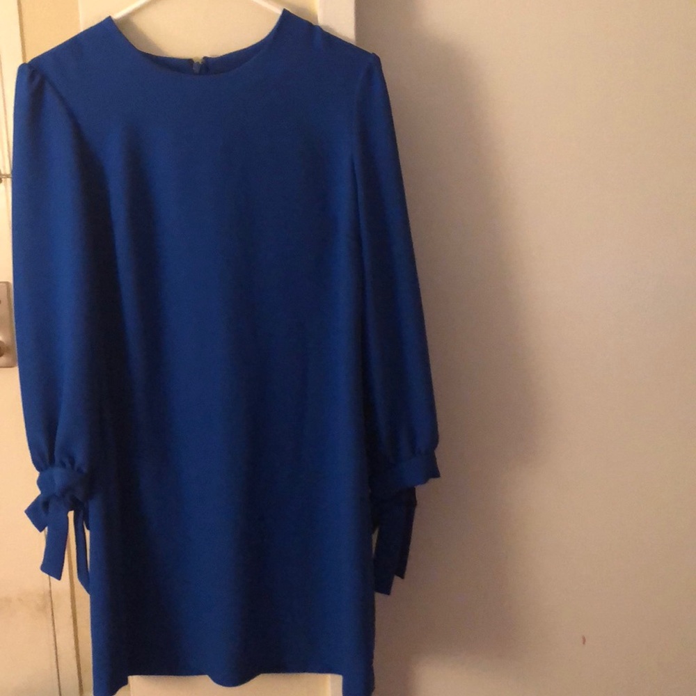 Royal Blue Banana Republic Dress